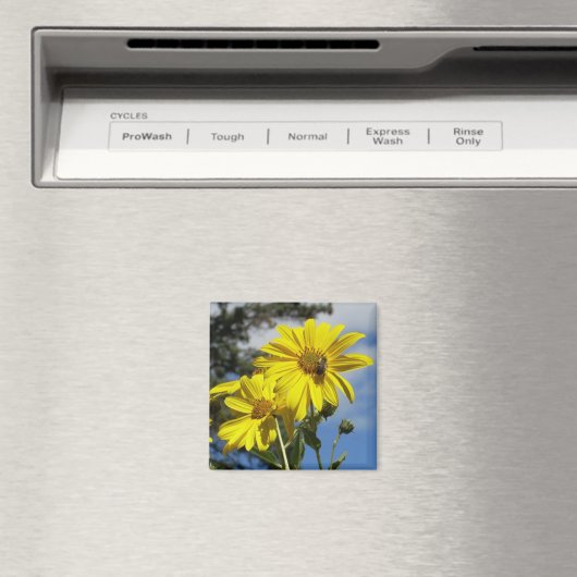 Sonnenblume Magnet (In Situ (Geschirrspüler))