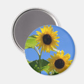 Sonnenblume Magnet (Vorderseite/Rückseite)
