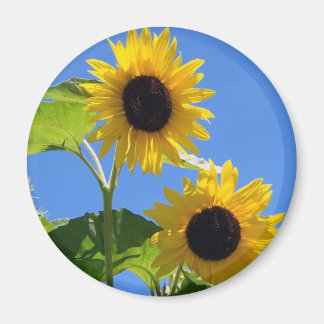 Sonnenblume Magnet