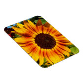 Sonnenblume Magnet (Rechte Seite)