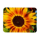 Sonnenblume Magnet (Horizontal)