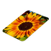 Sonnenblume Magnet (Linke Seite)