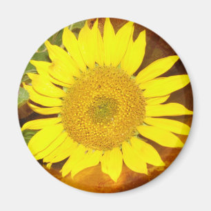 Sonnenblume Magnet