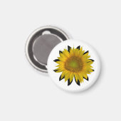 Sonnenblume Magnet (Vorderseite/Rückseite)