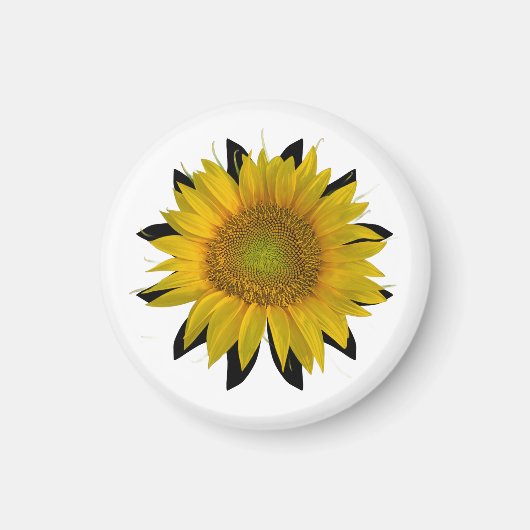Sonnenblume Magnet (Vorne)