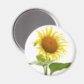 Sonnenblume Magnet (Vorderseite/Rückseite)