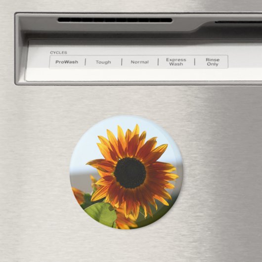 Sonnenblume Magnet (In Situ (Geschirrspüler))