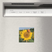 Sonnenblume Magnet (In Situ (Geschirrspüler))