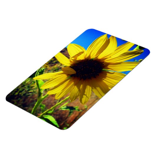 Sonnenblume Magnet (Linke Seite)
