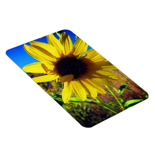 Sonnenblume Magnet (Rechte Seite)