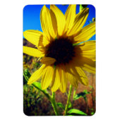 Sonnenblume Magnet (Vertikal)