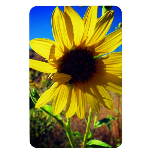 Sonnenblume Magnet (Vertikal)