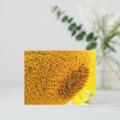 Sonnenblume - Makro Postkarte (Stehend Vorderseite)