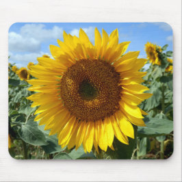 Sonnenblume-Mäusematte Mousepad