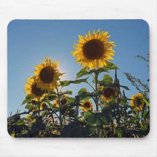 Sonnenblume-Mausunterlage Mousepad (Vorne)