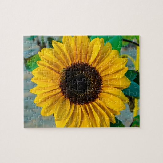 Sonnenblume mit Biene Puzzle (Horizontal)
