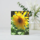 Sonnenblume mit Bienen Postkarte (Stehend Vorderseite)