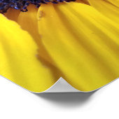 Sonnenblume mit Blue Center Closeup Poster (Ecke)