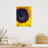 Sonnenblume mit Blue Center Closeup Poster (Küche)