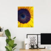 Sonnenblume mit Blue Center Closeup Poster (Heimbüro)