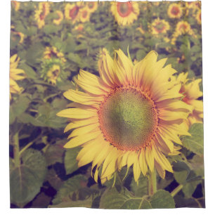 Sonnenblume mit Filtereffektretro Vintager Stiel Duschvorhang