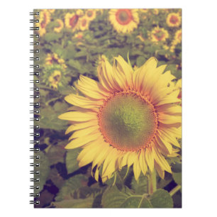 Sonnenblume mit Filtereffektretro Vintager Stiel Notizblock