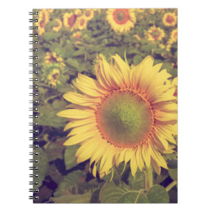 Sonnenblume mit Filtereffektretro Vintager Stiel Notizblock