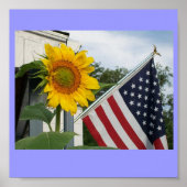 Sonnenblume mit Flaggenplakat Poster (Vorne)