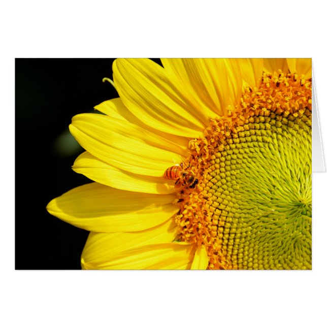 Sonnenblume mit Honigbienen-leerer Karte (Vorderseite (Horizontal))