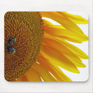 Sonnenblume mit Hummeln Mousepad