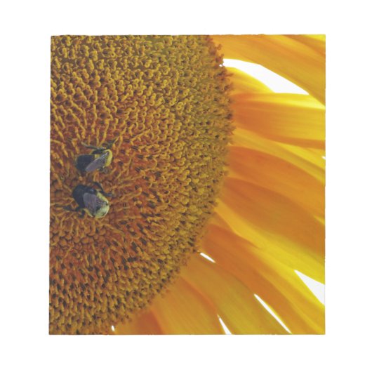 Sonnenblume mit Hummeln Notizblock (Vorderseite)