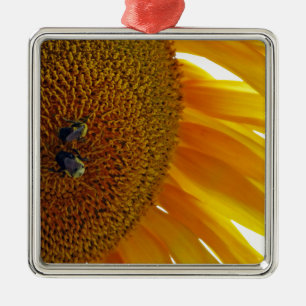 Sonnenblume mit Hummeln Ornament Aus Metall