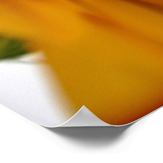 Sonnenblume mit Meldung Poster (Ecke)