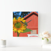 Sonnenblume mit rotem Stall Quadratische Wanduhr (Zuhause)