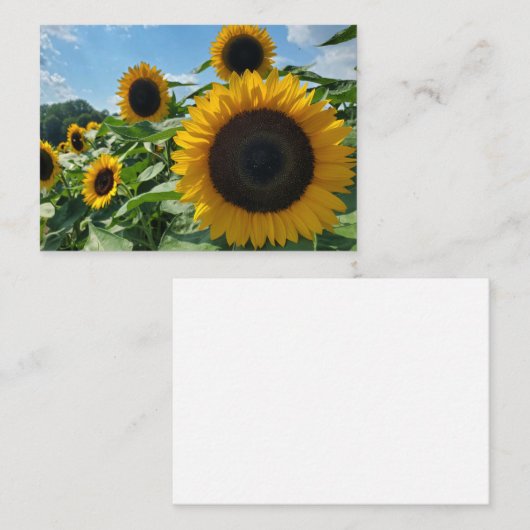 Sonnenblume Mitteilungskarte (Vorne/Hinten)