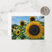 Sonnenblume Mitteilungskarte (Vorderseite/Rückseite Beispiel)