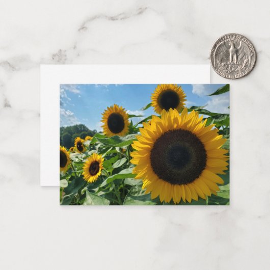 Sonnenblume Mitteilungskarte (Vorderseite/Rückseite Beispiel)