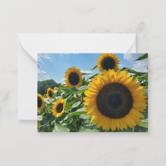 Sonnenblume Mitteilungskarte (Vorderseite)