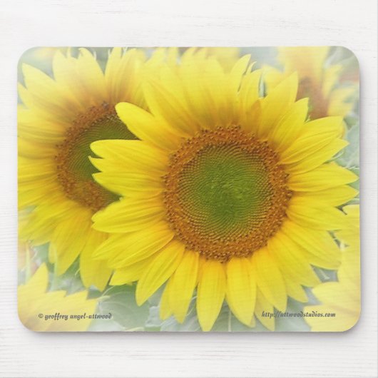 Sonnenblume Mousepad (Vorne)