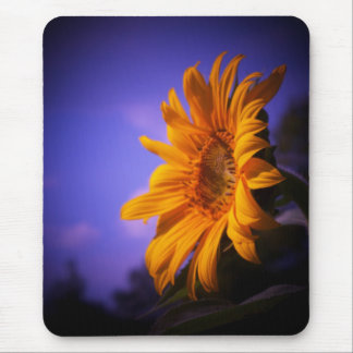 Sonnenblume Mousepad