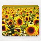 Sonnenblume Mousepad (Vorne)