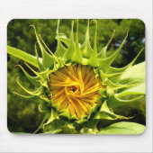 Sonnenblume Mousepad (Vorne)