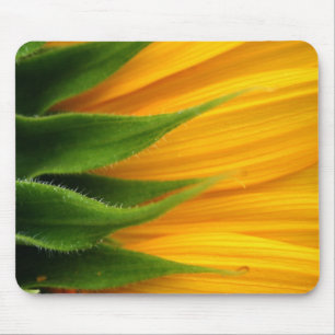 Sonnenblume Mousepad