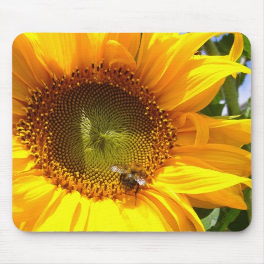 SONNENBLUME ~ Mousepad (Vorne)