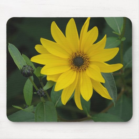 Sonnenblume Mousepad (Vorne)