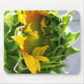 Sonnenblume Mousepad (Vorne)