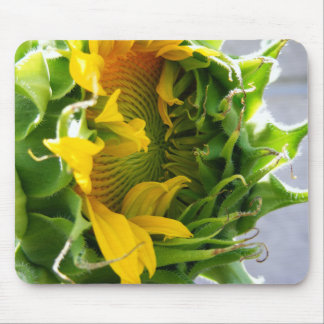 Sonnenblume Mousepad