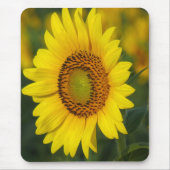Sonnenblume Mousepad (Vorne)