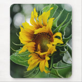 Sonnenblume Mousepad (Vorne)