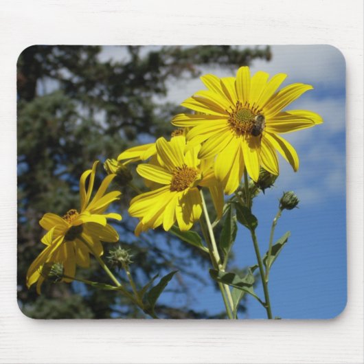 Sonnenblume Mousepad (Vorne)